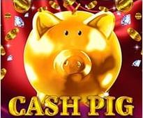 Cash Pig